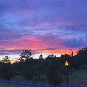 Meet your Posher, Ellie